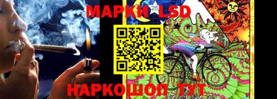 ПСИЛОЦИБИНОВЫЕ ГРИБЫ Кингисепп