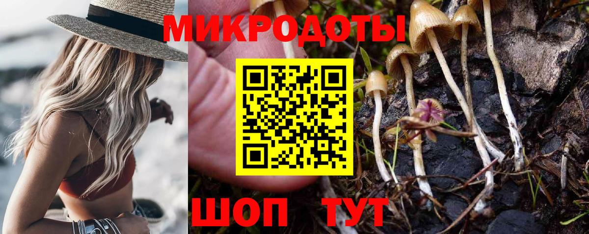 Котовск  Галлюциногенные грибы Magic Shrooms  Вход с VPN 